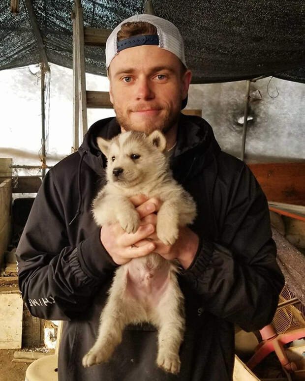 Олимпийский спортсмен спасает собак в Южной Корее