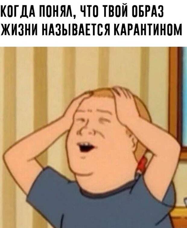 карантин шутки