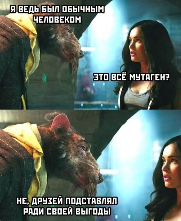 Смешные фото 16 февраля 2021 года