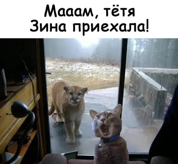 Ночь. В постели муж с женой. Жена к мужу и так мостится, и этак…
