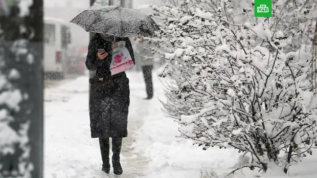 Москвичей предупредили о мокром снеге и сильном ветре