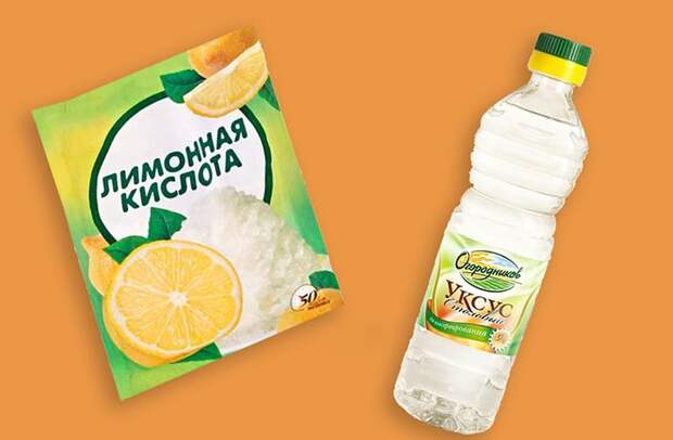 Лимонная кислота и уксус помогут выявить мел в составе молока / Фото: glav-dacha.ru