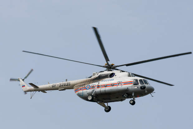 Детей, которые трое суток провели с собаками в свердловском лесу, доставили на вертолёте в Тюмень