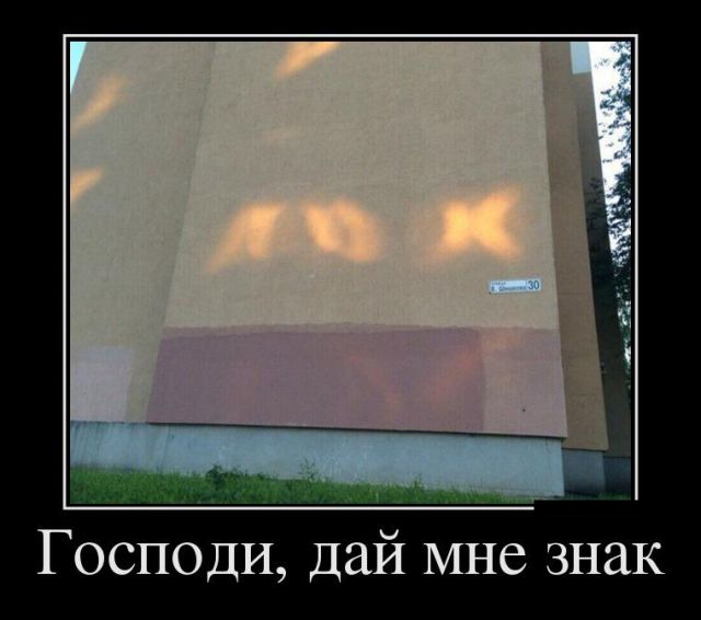 Демотиваторы (30 фото)