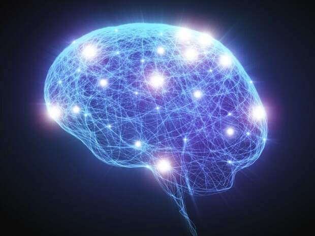Человек запоминает новую информацию не благодаря наличию пустого места в мозгу, а благодаря образованию новых нейронных связей. Изображение взято с сайта «https://techbuf.com»