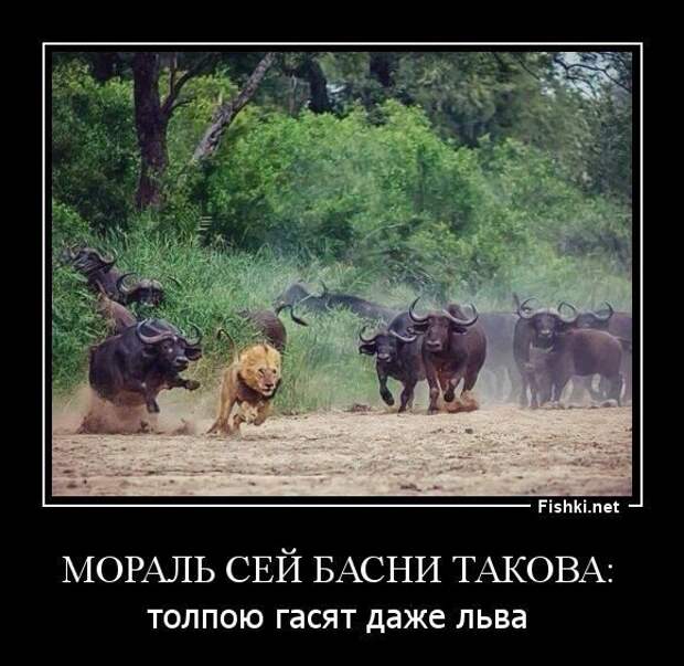 Снова демотиваторы!