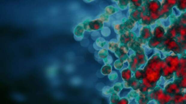 Moderna mRNA vaccine cells virus blood
