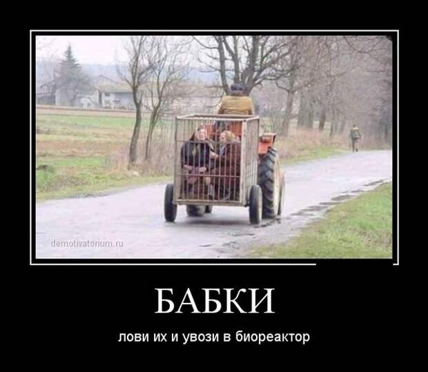Демотиваторы бревно, демотиваторы, юмор