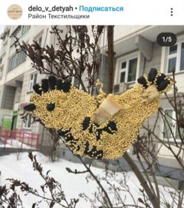 Скриншот со страницы соцсети Инстаграм. Автор: delo_v_detyah