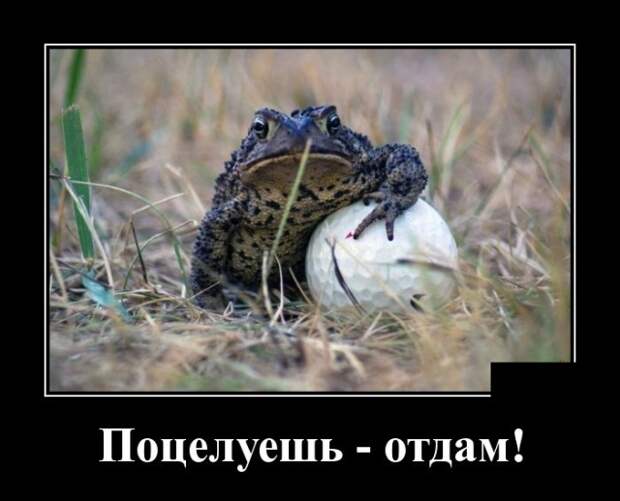 Демотиваторы (30 фото)