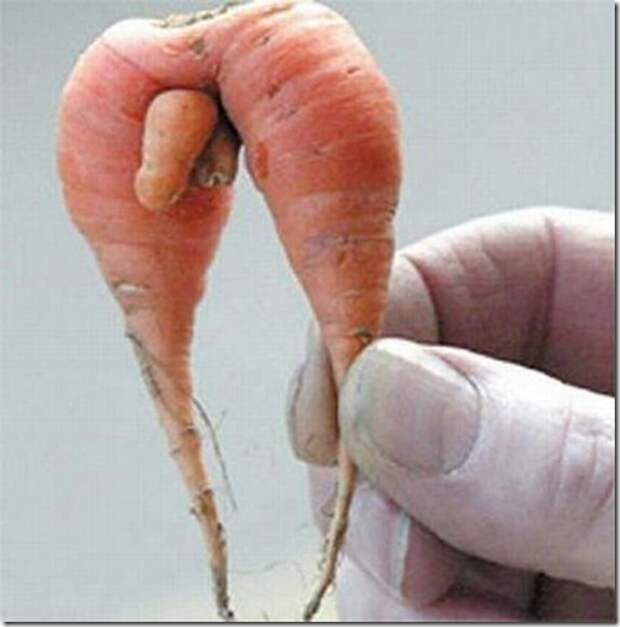 unusual-fruit-and-vegetables04