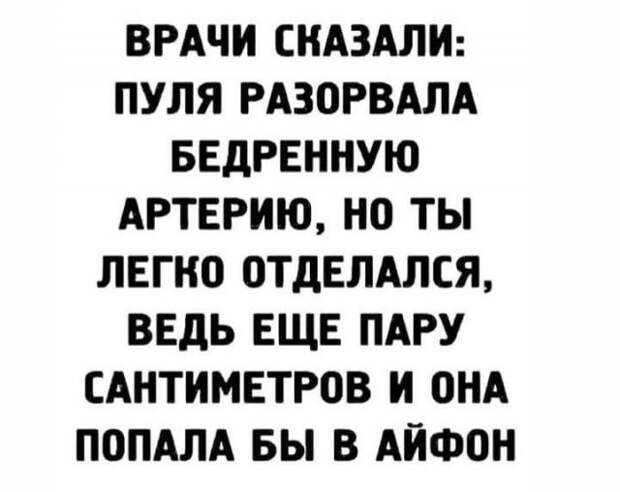 206323_8_trinixy_ru.jpg