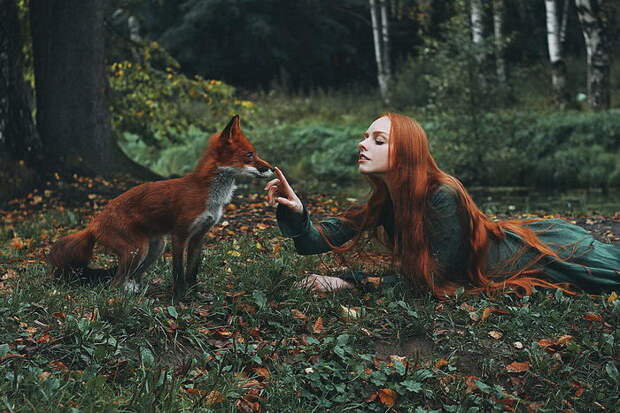 Две лисицы: серия портретов Alexandra Bochkareva