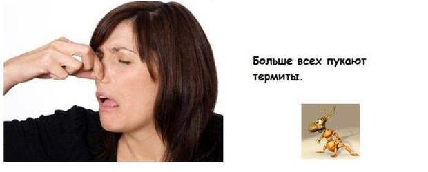 Интересные факты обо всем на свете Интересные факты обо всем на свете