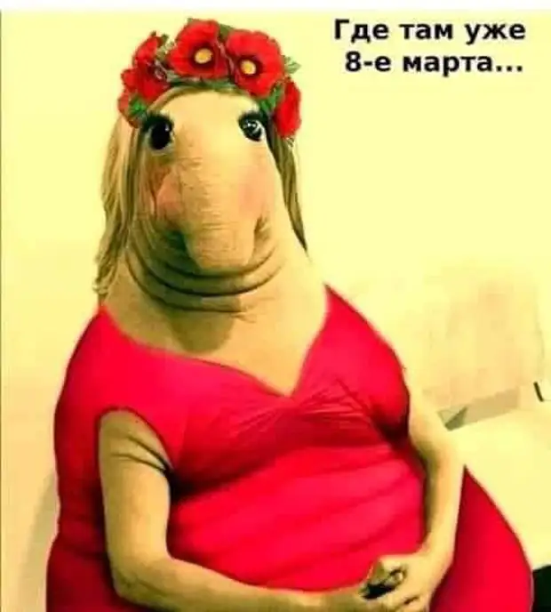 Муж на час! Починю утюг, повешу гардину, врежу замок, поставлю фингал, пропью получку, пересплю с соседкой. Фигаро, потерял, подумает, новое, платье, первого, своей, значит, бывшей, Приехал, исповедь, картиной, батюшка, написал, обнажённую, красавицу, полный, прорезал, приходит, Прогуливайся