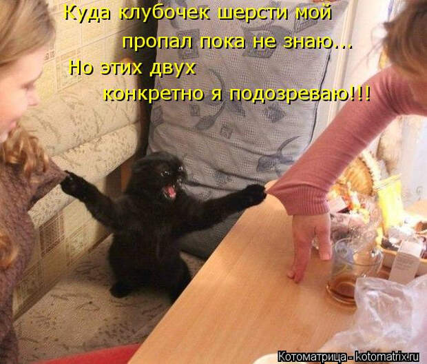kotomatritsa_7i (604x515, 262Kb)