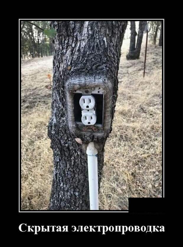 Демотиваторы Демотиваторы