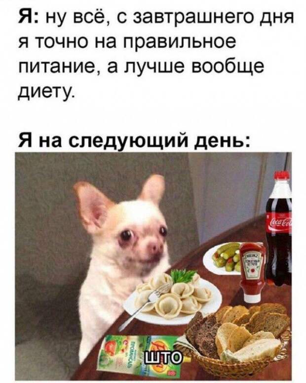 kartinok-interesnyh-prikolnyh-kartinki-smeshnye-kartinki-fotoprikoly