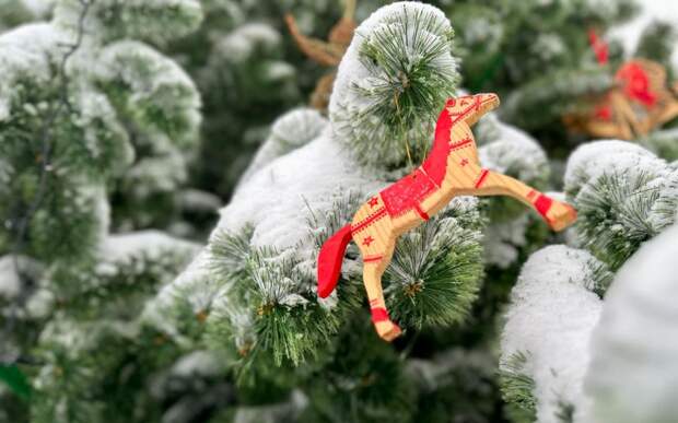 Идеальный Новый год: рязанцам рассказали о погоде на 31 декабря