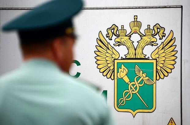 Российская таможня