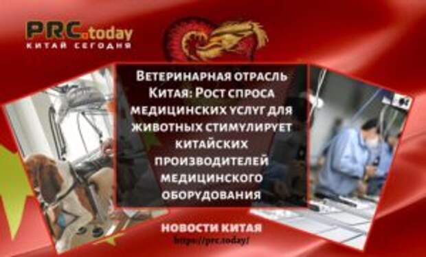 Ветеринарная отрасль Китая: Рост спроса медицинских услуг для животных стимулирует китайских производителей медицинского оборудования