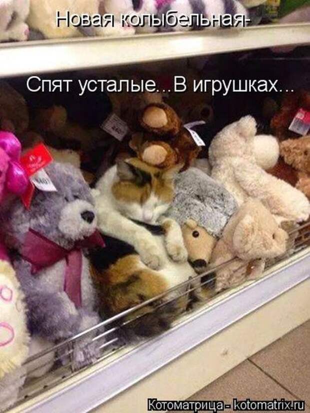 Лучшие котоматрицы недели (50 фото) Лучшие котоматрицы недели (50 фото)
