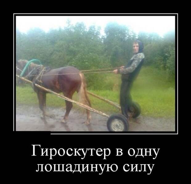 Демотиваторы (30 фото)