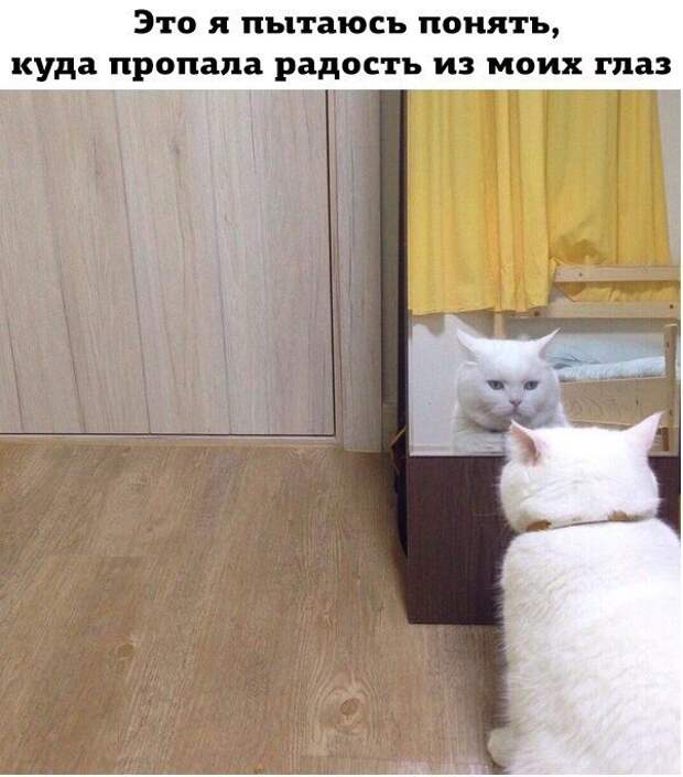 Подборка смешных фото из рубрики "не повезло" (10 фото) Подборка смешных фото из рубрики "не повезло" (10 фото)