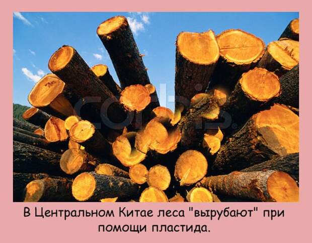 Интересные факты в картинках (20 фото) Интересные факты в картинках (20 фото)