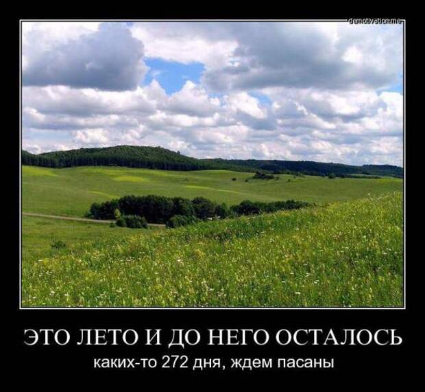 Немного новых демотиваторов