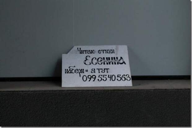 923280eb3646271e298766ec882_prev