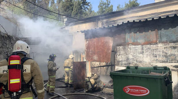 В Севастополе с начала года произошло почти 400 пожаров