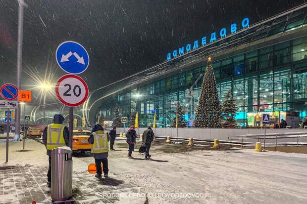 Домодедово на торгах хотят продать за 130 млрд рублей при оценке в 40 млрд