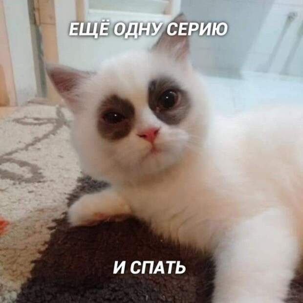 kartinok-interesnyh-prikolnyh-kartinki-smeshnye-kartinki-fotoprikoly