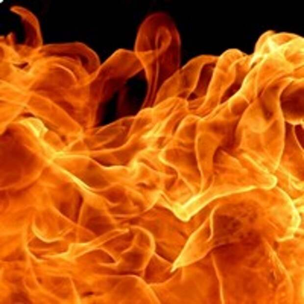 ветер раздувает пожары. искры огня. огонь и ветер. забыли потушить костер. раздуваемое ветром пламя.