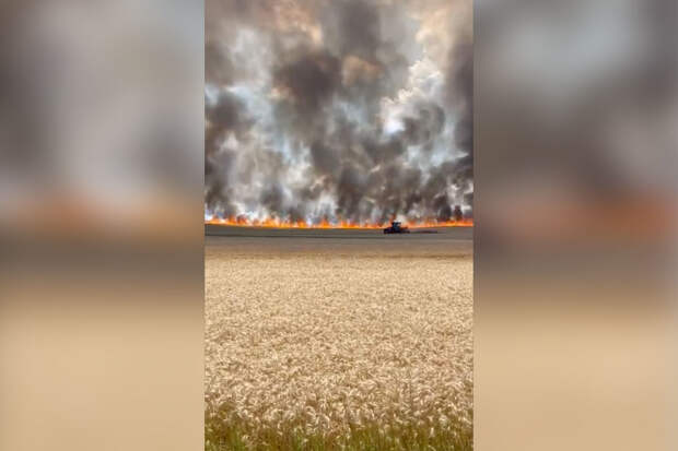 Гладков: в Белгородском районе загорелось поле из-за сбитого беспилотника