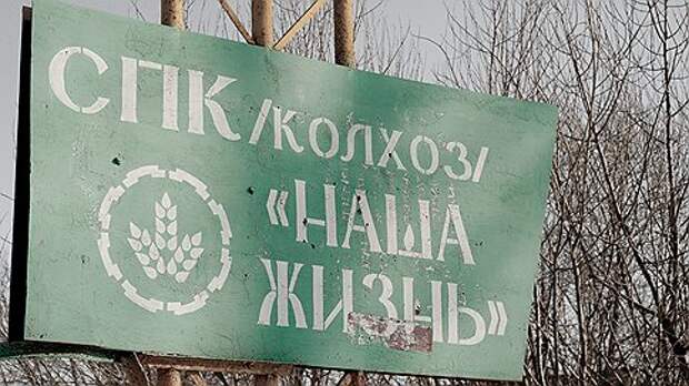 Как в Беларуси "убивают" фермеров Как в Беларуси "убивают" фермеров