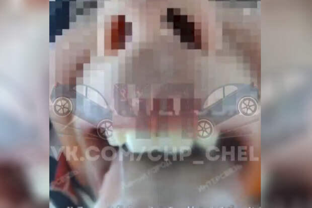 В Челябинске мальчик прилип языком к домофону и попал на видео