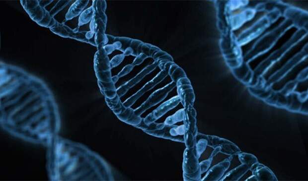 Факты про ДНК, благодаря которым вы узнаете о себе немного больше