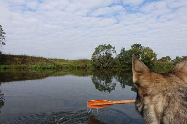 Рыбоводам хотят разрешить самим охранять свои владения
