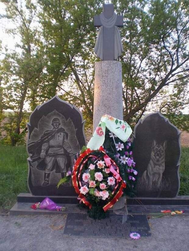 собаки во второй мировой войне