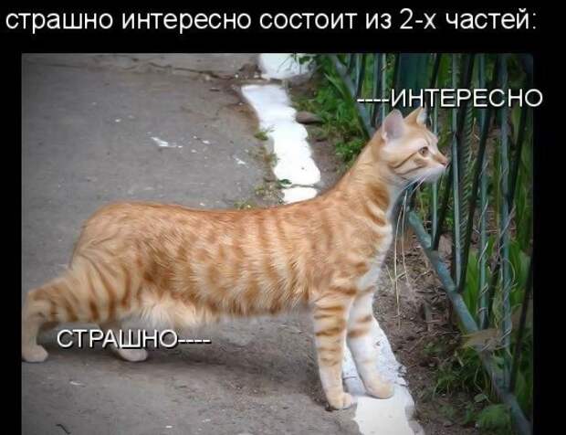 Всяко - разно 6  )))