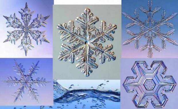 Все обо всем – 25 фактов, о которых знают не все