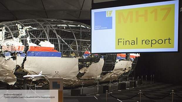 Рогов рассказал, как США могут подделать фото пуска ракеты в MH17 для Гаагского суда