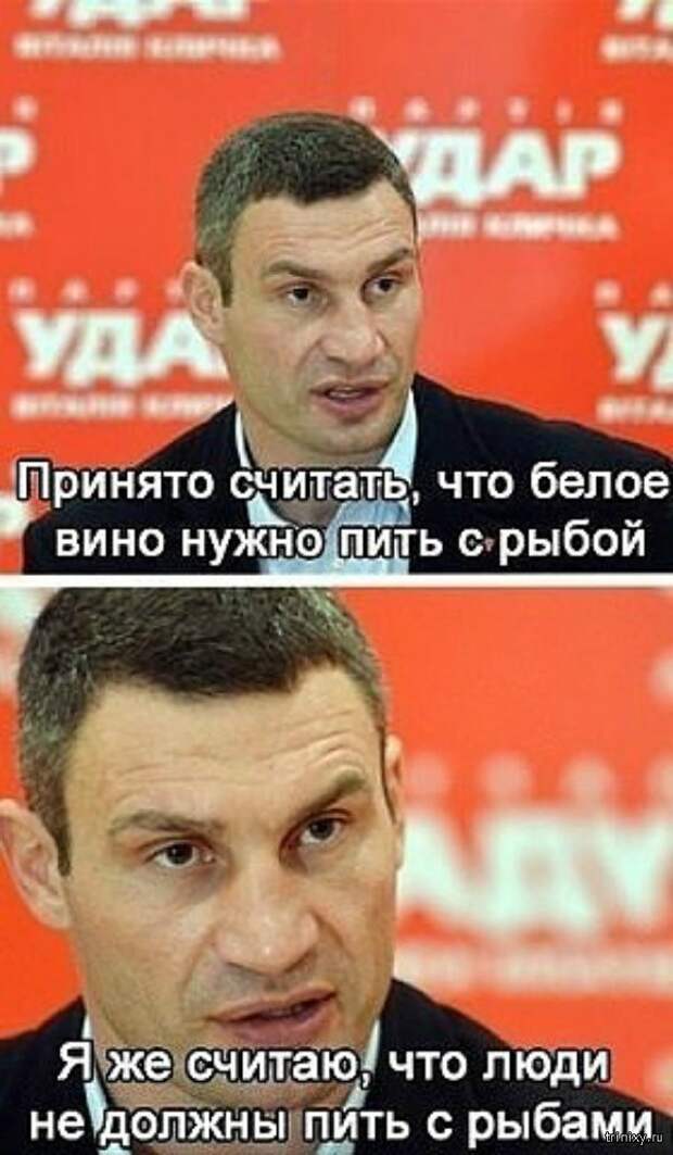 Смешные картинки с надписями
