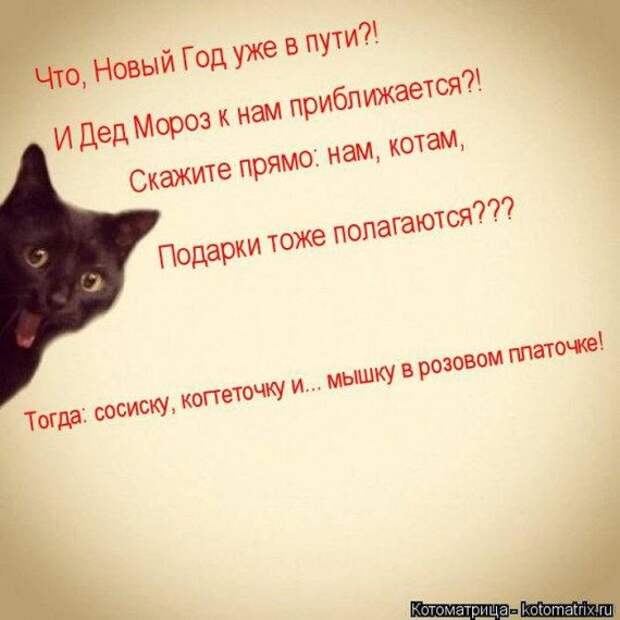Котоматрицы на Новый год