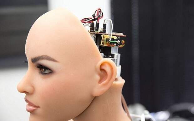 Современные секс-роботы стремятся превзойти людей! Секс-куклы, достижения механиков, занимательно, идеальная девушка, интересно, прогресс в личной жизни, робот, технологии