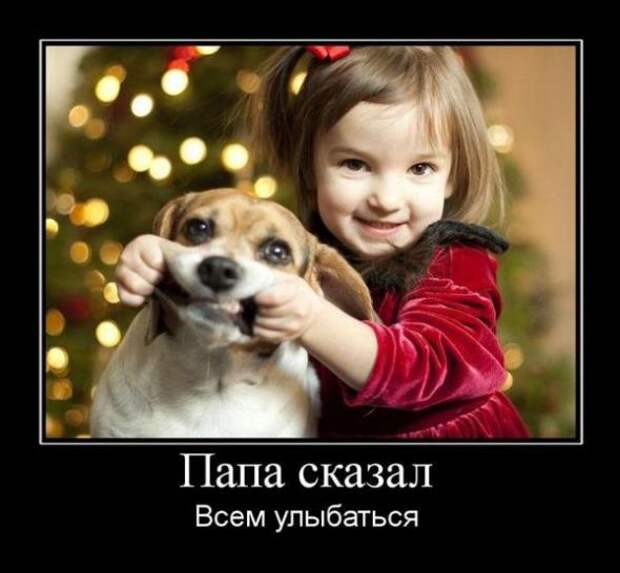 Демотиваторы для всех №4