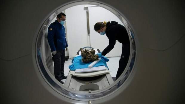 Ученые нашли атеросклероз у пятитысячелетних мумий