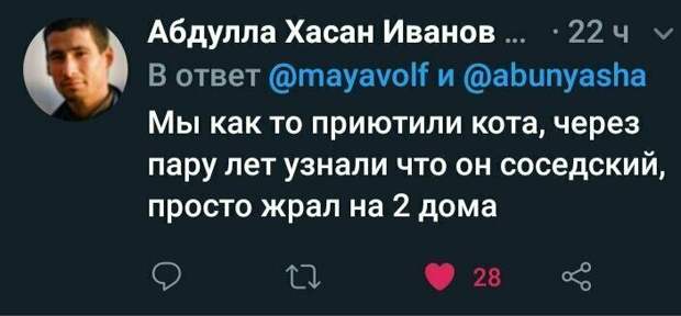 Кто о чем: занимательные мысли из сети instagram, смешно, смешные комментарии, соцсети, твиттер, юмор